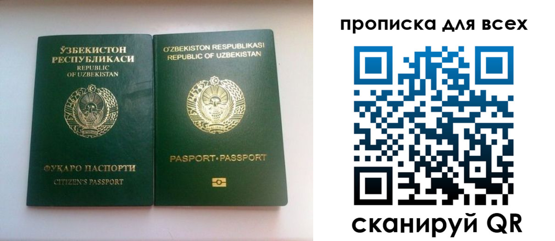 прописка для школы в Удмуртии